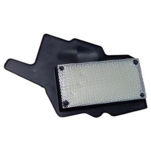 Raider 125 Hava Filtre