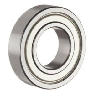 RULMAN PLASTİK KAPAKLI 6205