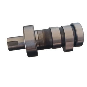 Ns 200 Rs 200 Euro 4 Oem Eksantrik Mili