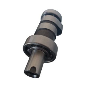 Ns 200 Rs 200 Euro 3 Oem Eksantrik Mili