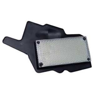 Raider 125 Hava Filtre