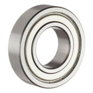 RULMAN PLASTİK KAPAKLI 6205